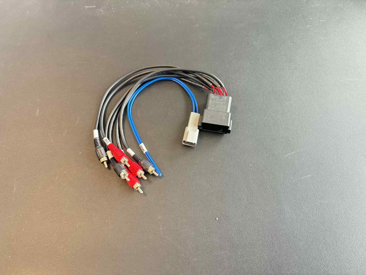 BB10 6CH Input Harness with Deutsch remote lead