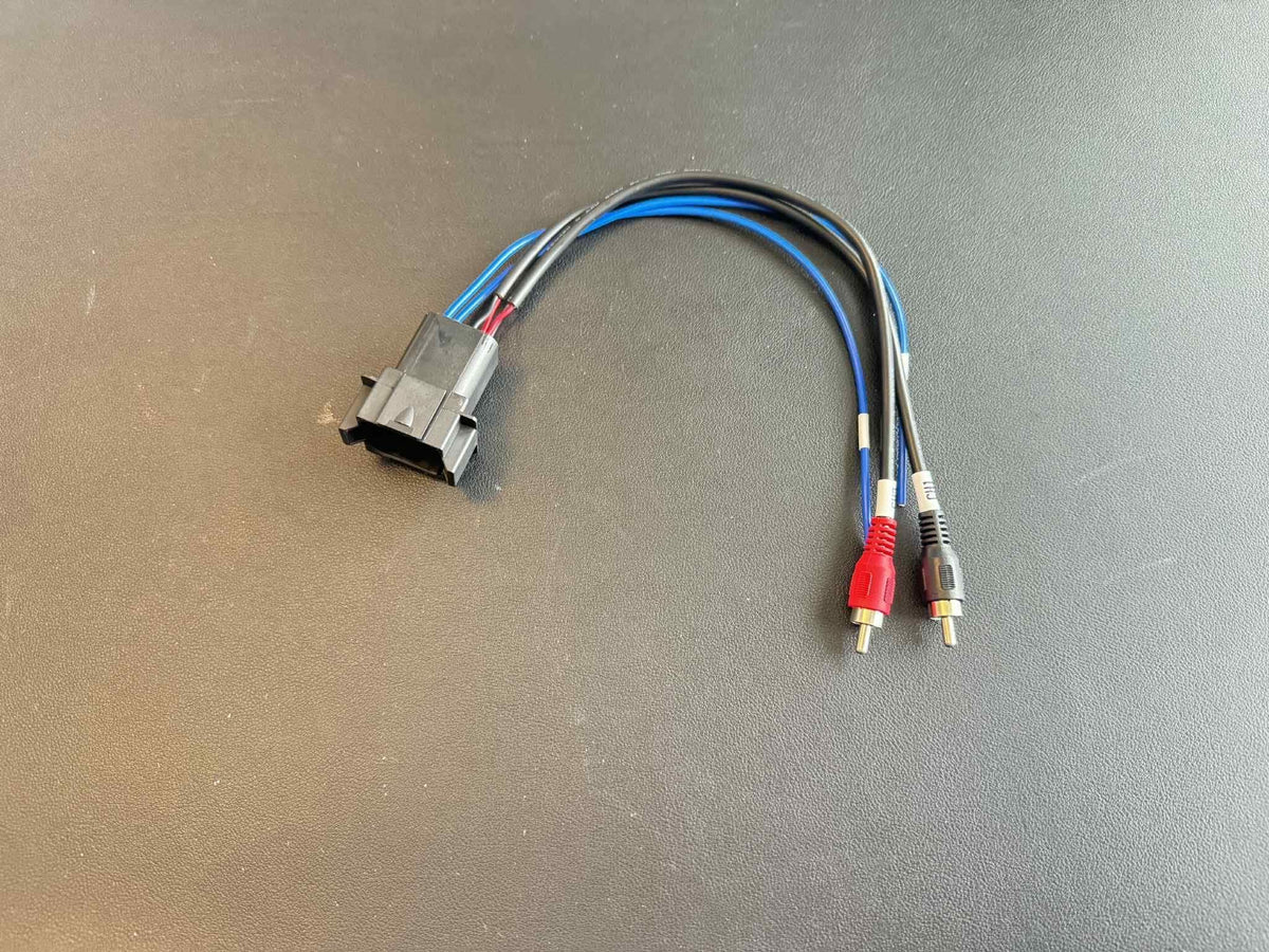 BB10 2CH Input Harness