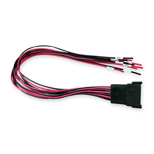 BB10 6CH output harness for Wet Sounds 1206 amp with labeled speaker leads